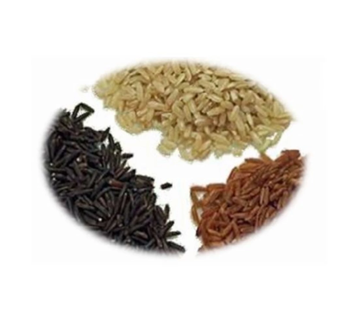 PhytoTrace Riz